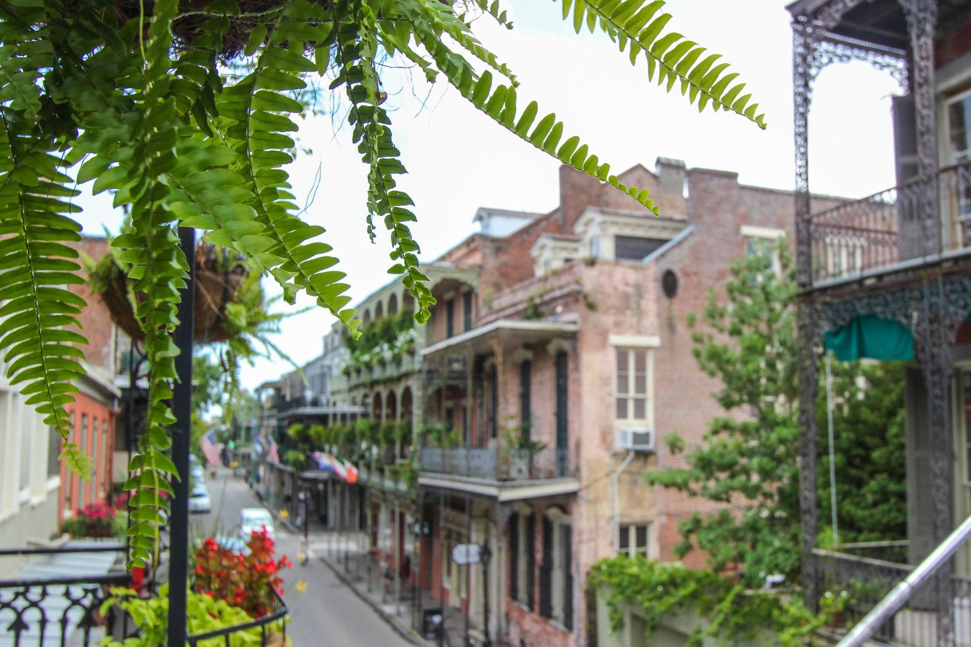 Andrew Jackson Hotel French Quarter New Orleans Exterior foto